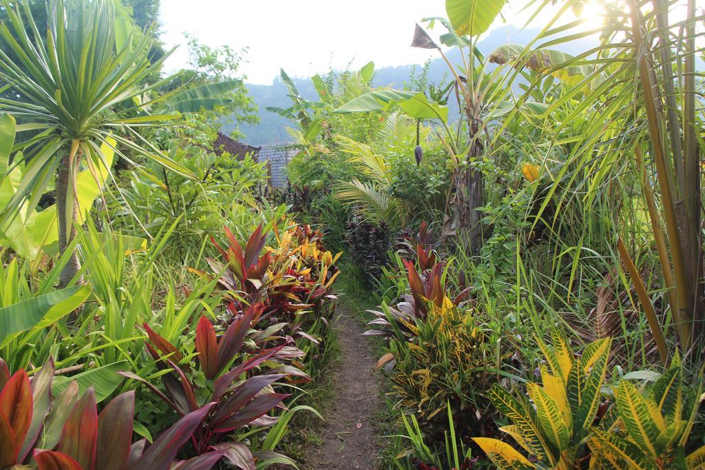 The Bukit Artha Bed and Breakfast Sidemen  Buitenkant foto