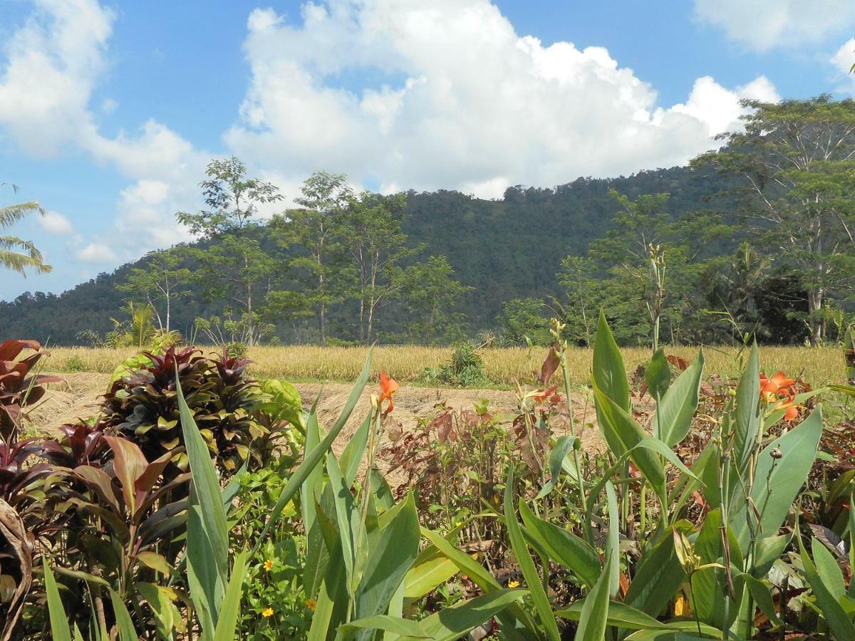 The Bukit Artha Bed and Breakfast Sidemen  Buitenkant foto