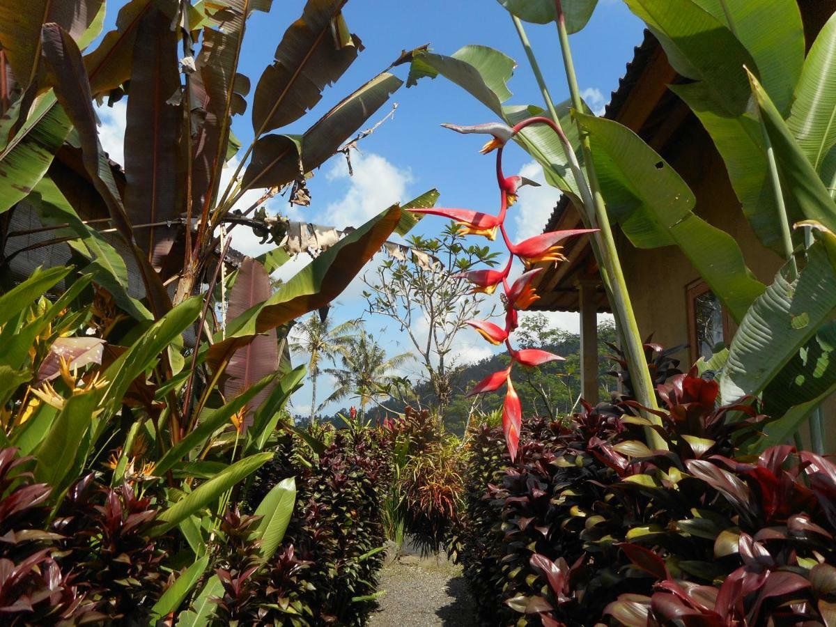 The Bukit Artha Bed and Breakfast Sidemen  Buitenkant foto