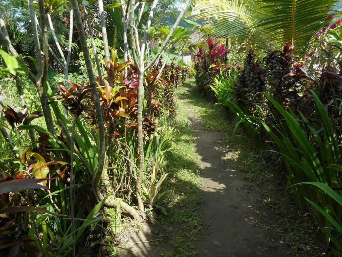 The Bukit Artha Bed and Breakfast Sidemen  Buitenkant foto