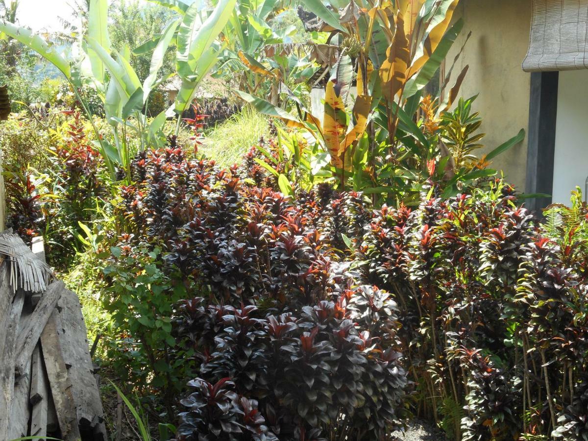 The Bukit Artha Bed and Breakfast Sidemen  Buitenkant foto