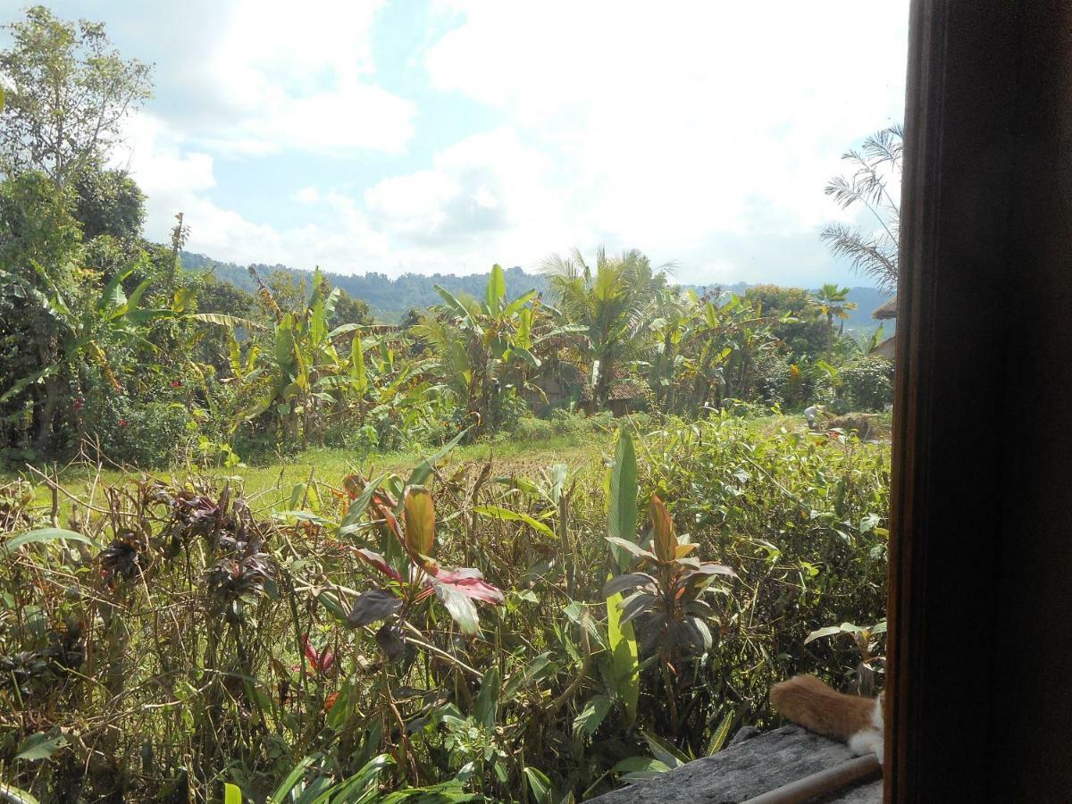 The Bukit Artha Bed and Breakfast Sidemen  Buitenkant foto