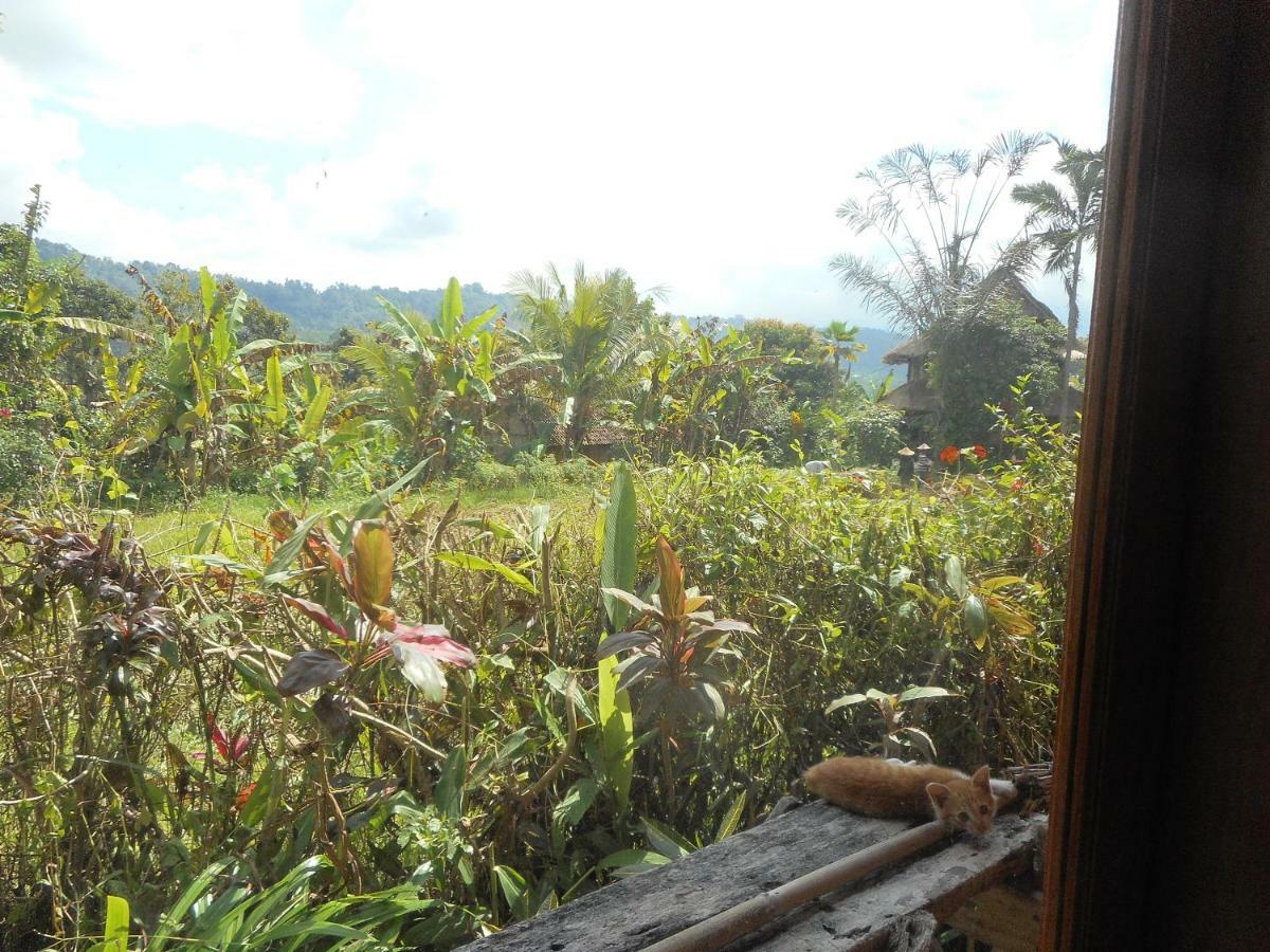 The Bukit Artha Bed and Breakfast Sidemen  Buitenkant foto