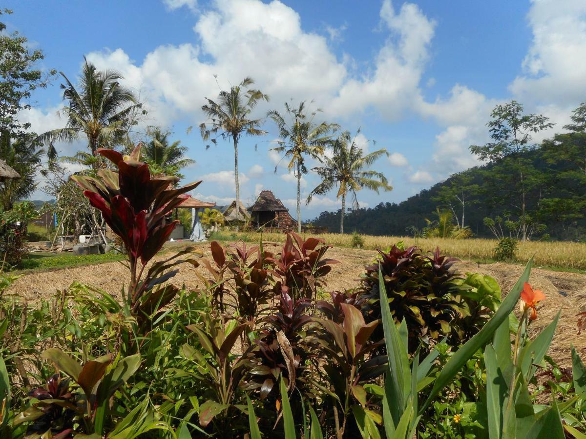 The Bukit Artha Bed and Breakfast Sidemen  Buitenkant foto