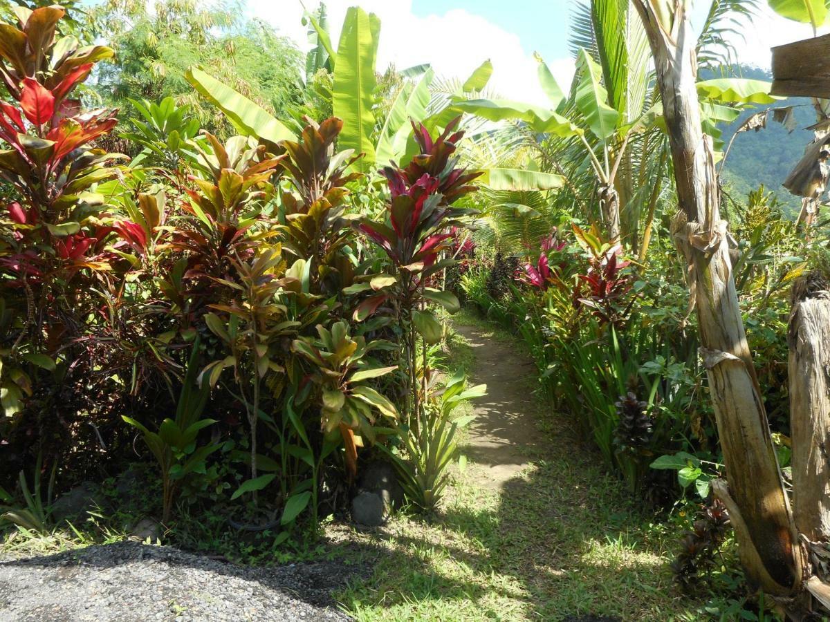 The Bukit Artha Bed and Breakfast Sidemen  Buitenkant foto
