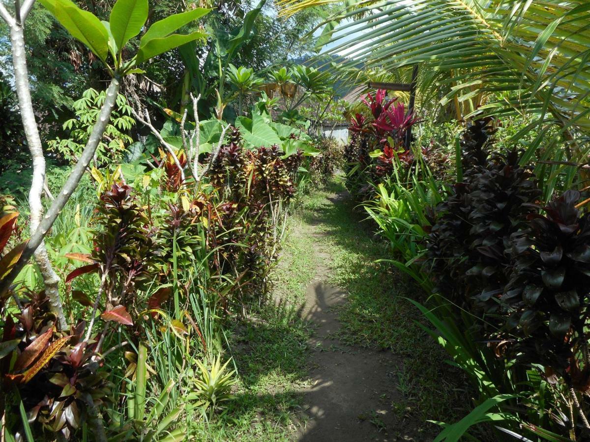 The Bukit Artha Bed and Breakfast Sidemen  Buitenkant foto