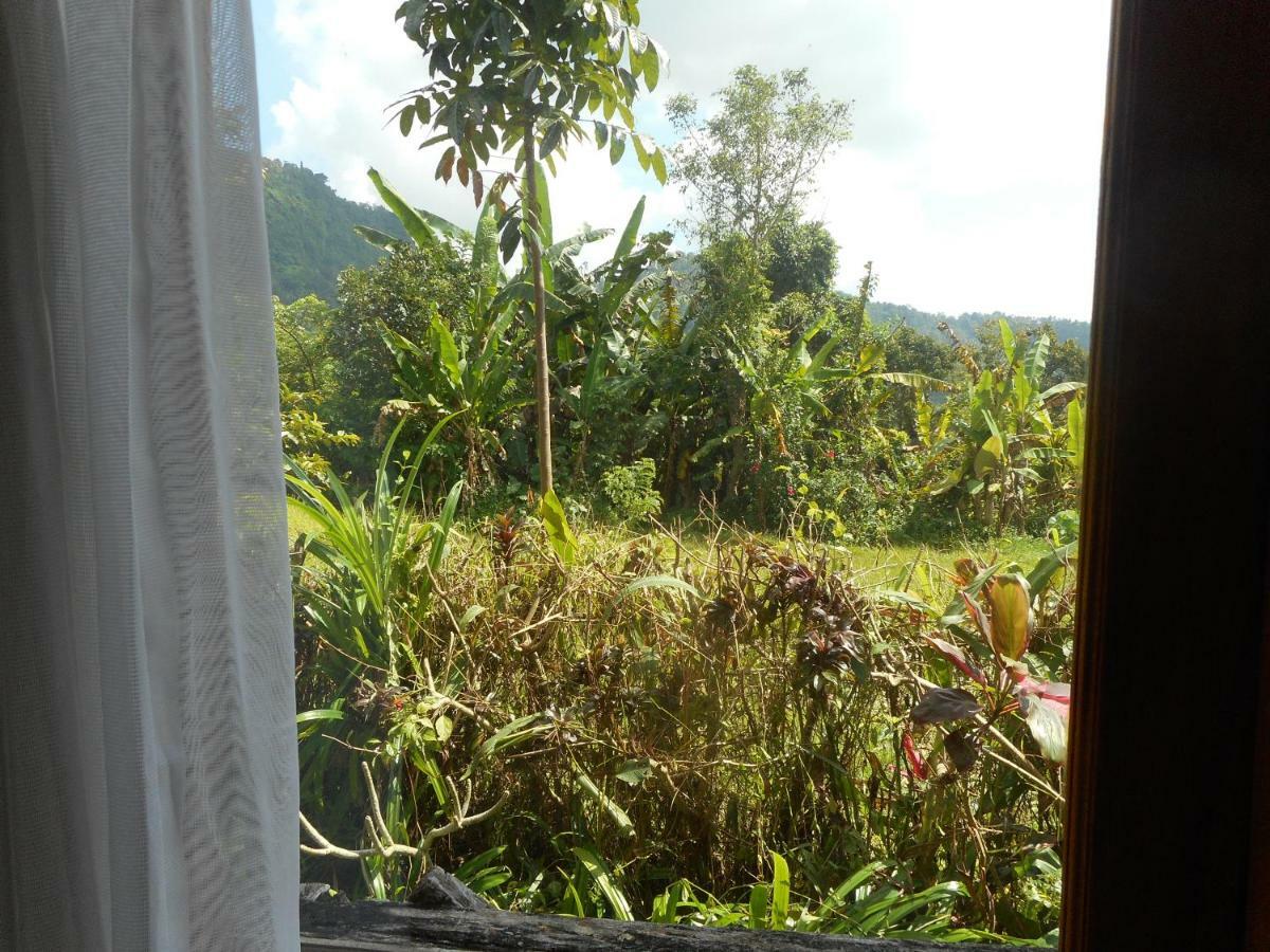 The Bukit Artha Bed and Breakfast Sidemen  Buitenkant foto